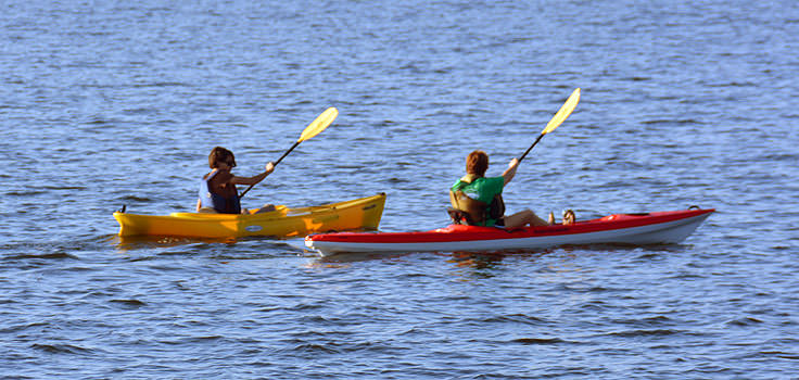 Kayaking in the Neuse River